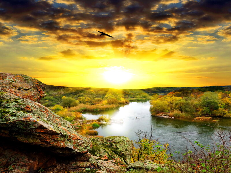 River at Sunset — Yellow, Dramatic, Photograph, Bird