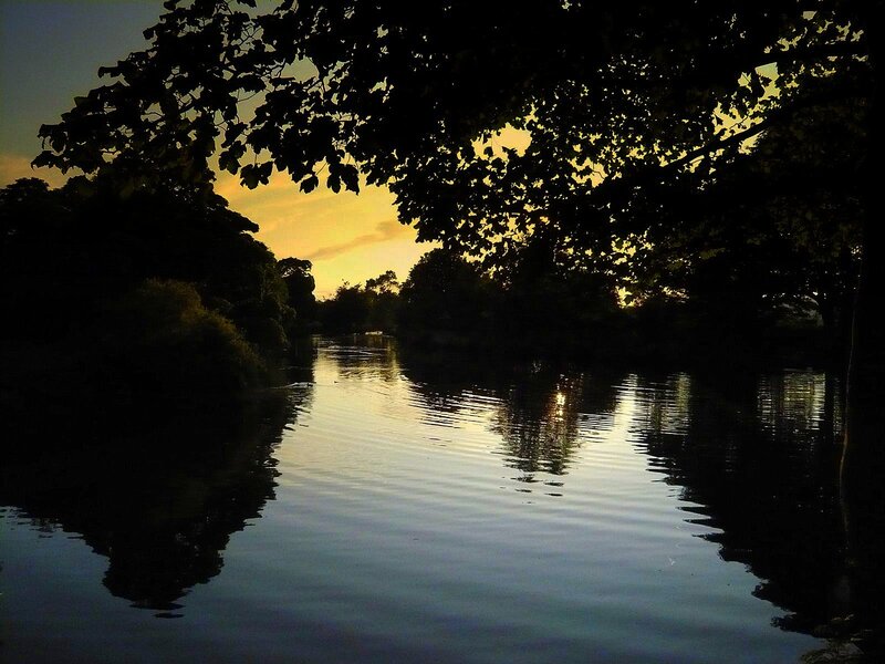 River at Sunset — Yellow, Serene, Photograph, Trees, Sky, Reflection, Black