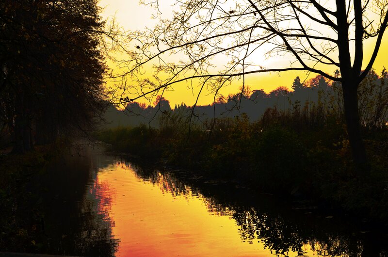 River at Sunset — Yellow, Serene, Photograph, Trees, Sky, Reflection