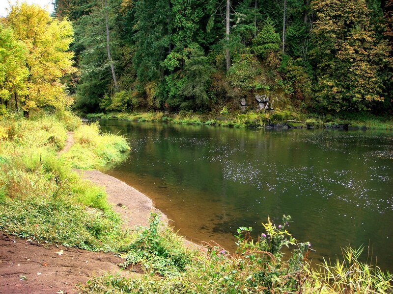 River bend in autumn forest