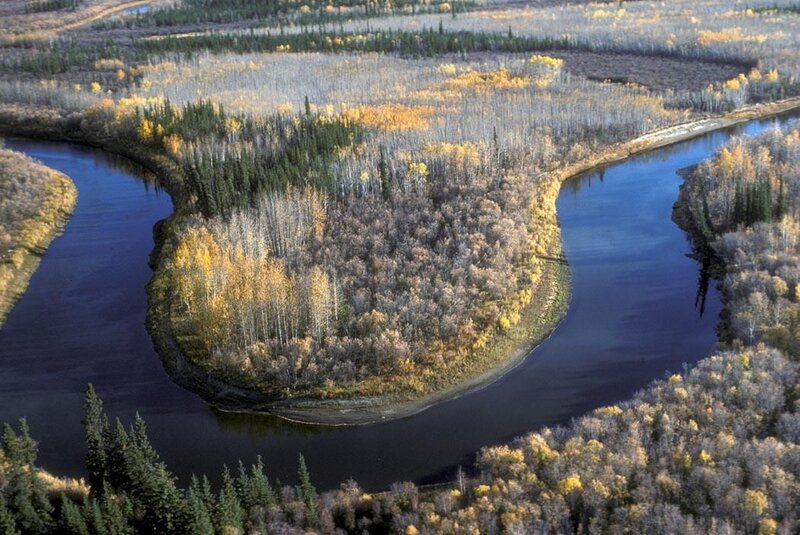 River Bend in Forest — Blue, Serene