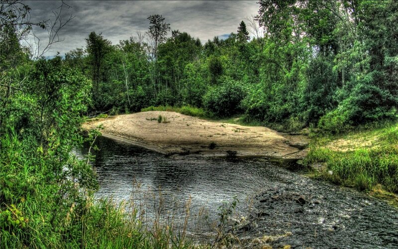 River Bend in Forest — Green, Dramatic, Afternoon