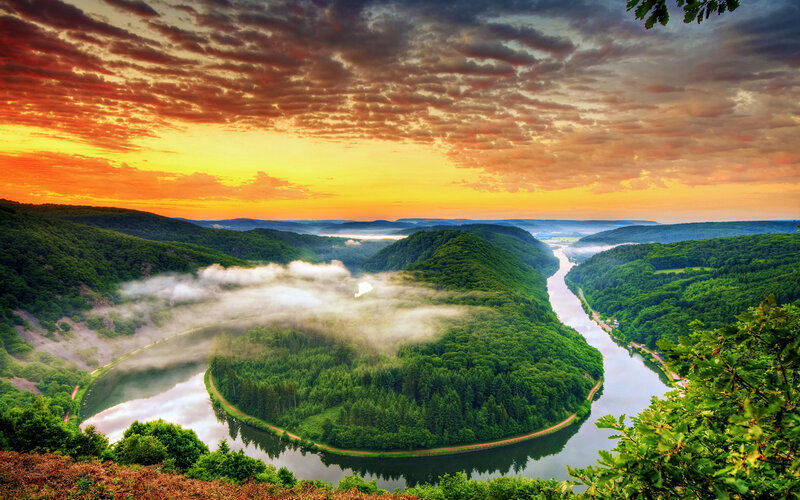 River Bend in Forest — Green, Dramatic, Sunset
