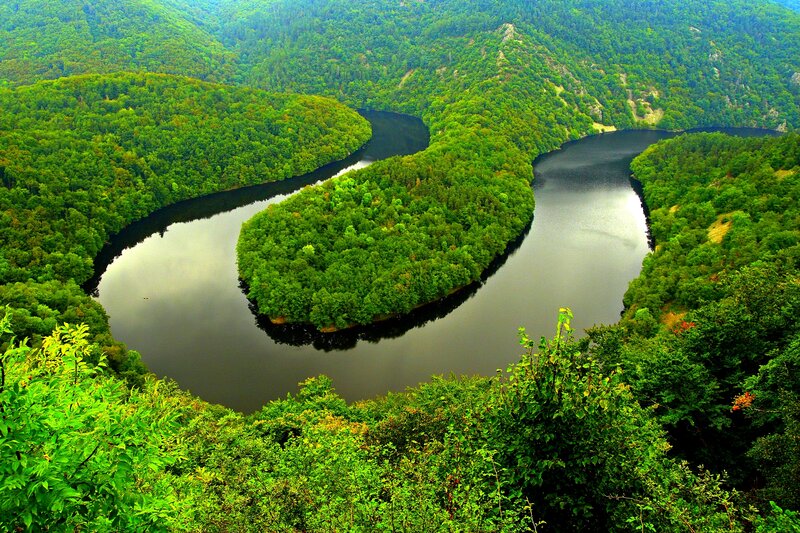 River Bend in Forest — Green, Serene, Afternoon, Photograph