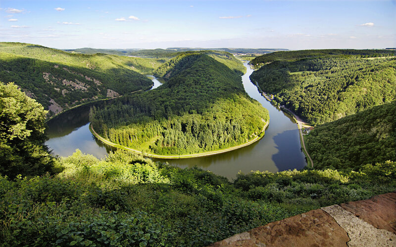 River Bend in Forest — Green, Serene, Afternoon