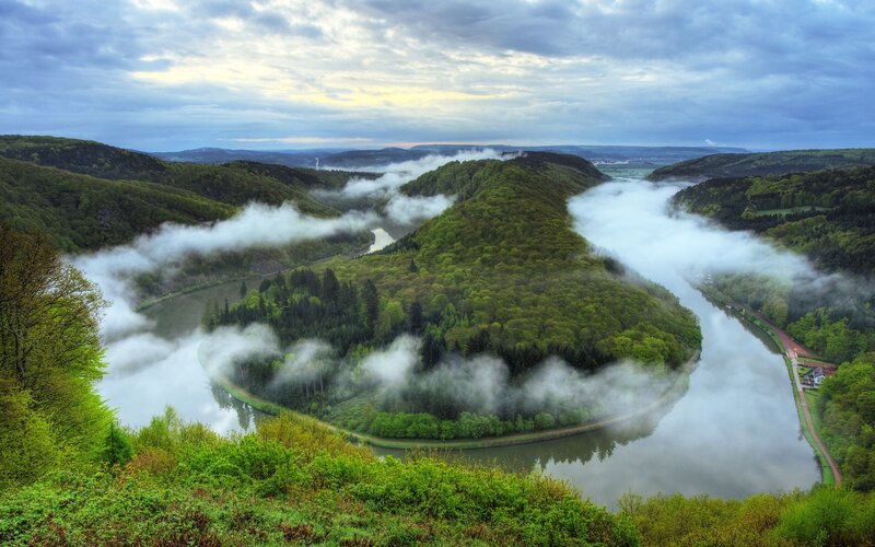 River Bend in Forest — Green, Serene, Morning