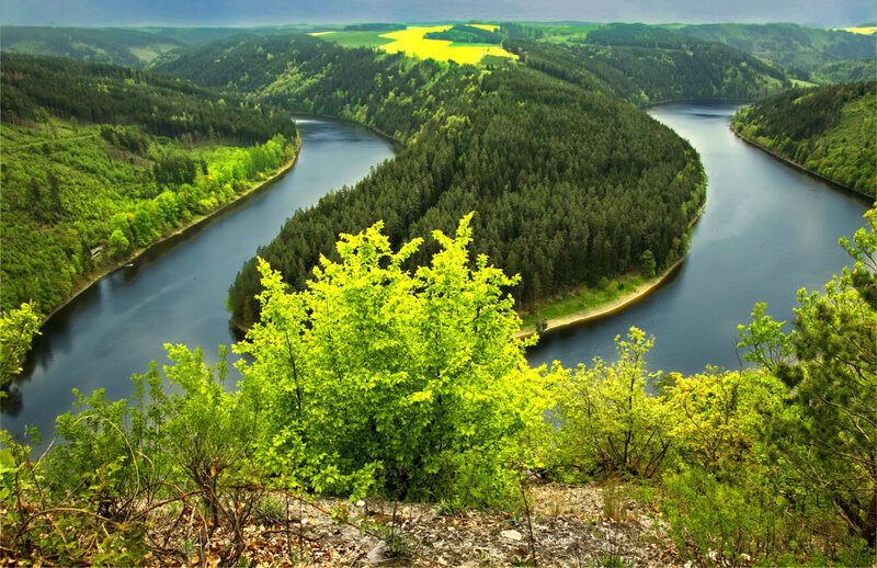River Bend in Forest — Green, Serene, Spring