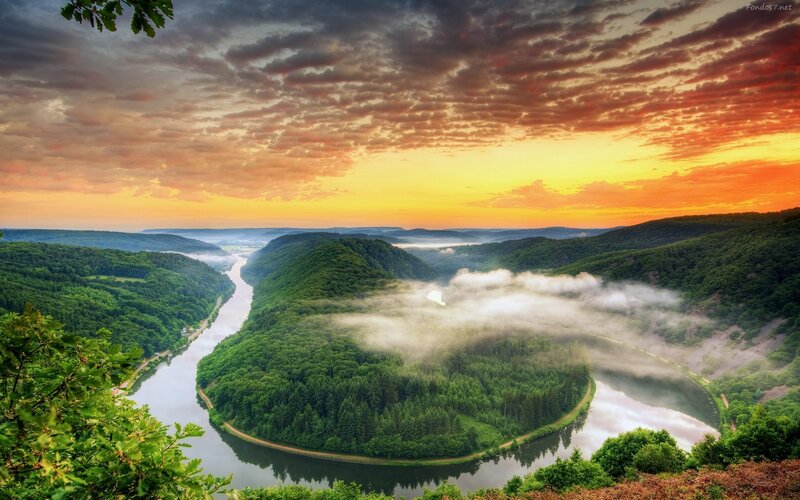River Bend in Forest — Green, Serene, Sunrise, Photograph, Clouds, Fog