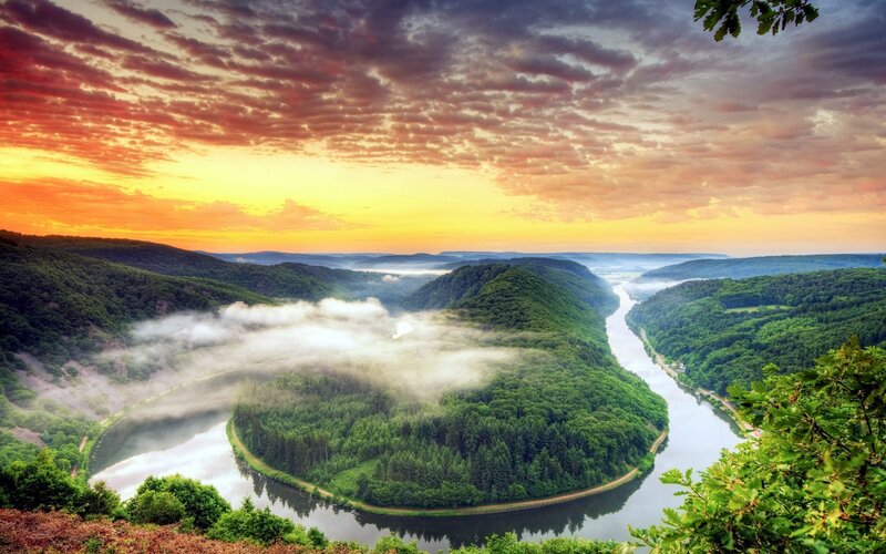 River Bend in Forest — Green, Serene, Sunrise, Photograph