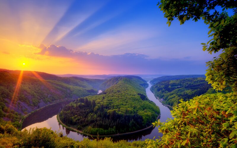 River Bend in Forest — Green, Serene, Sunrise