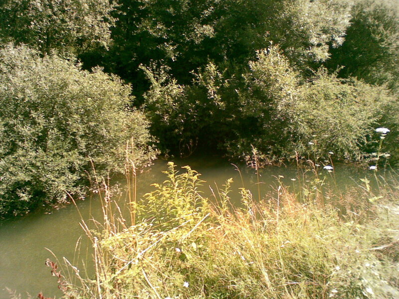 River Bend in Forest — Green