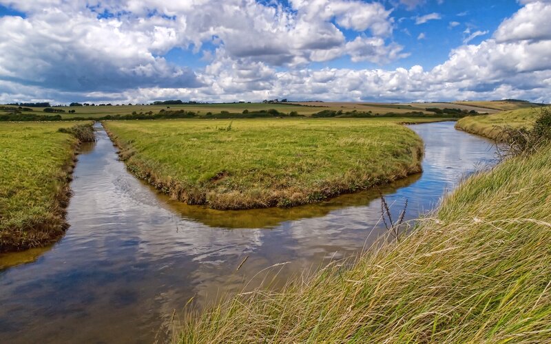 River Bend in Meadow — Green