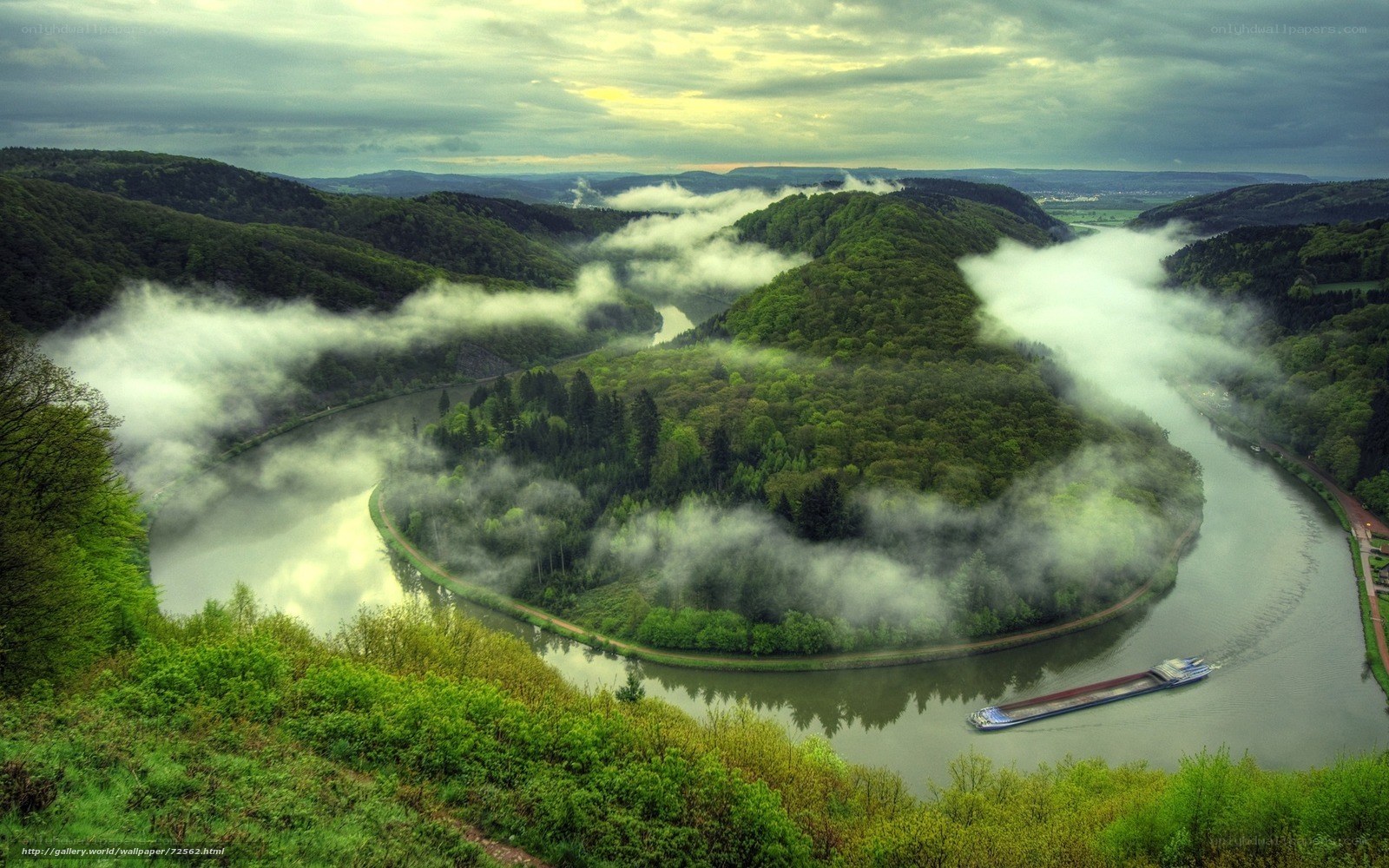 river bend in misty forest
