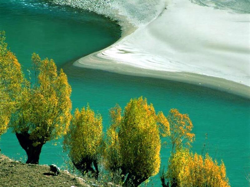 River bend with autumn trees