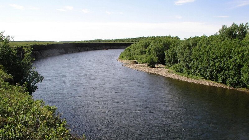 River Bend with Forest — Green