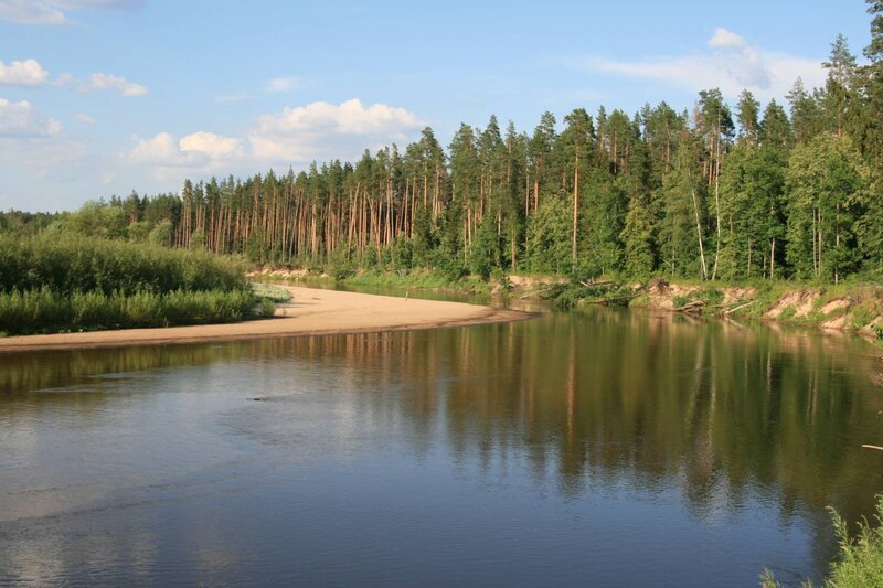 River Bend with Forest