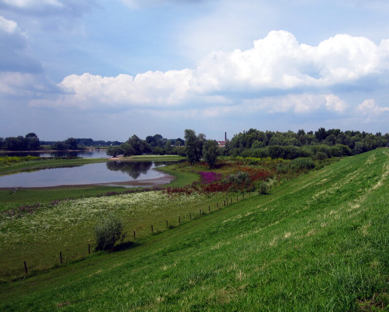 River Bend with Grassy Bank