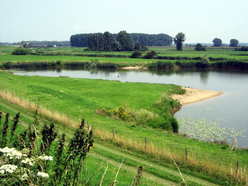 River Bend with Grassy Banks — Green