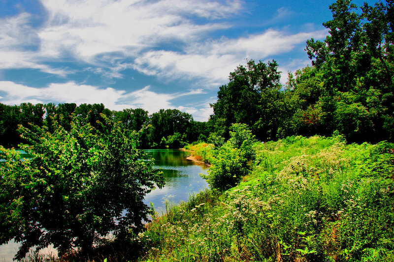 River bend with lush greenery