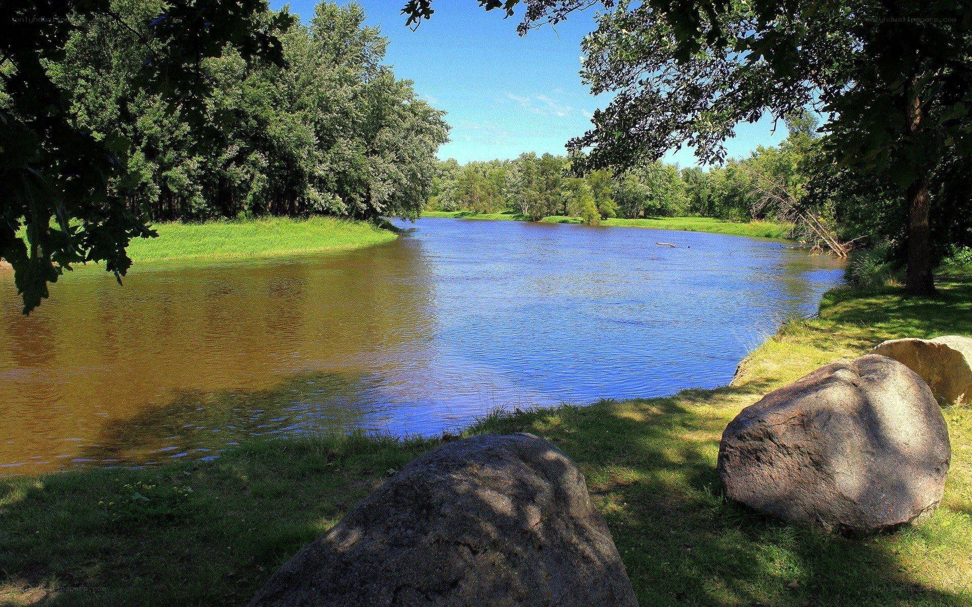 River bend with trees and rocks