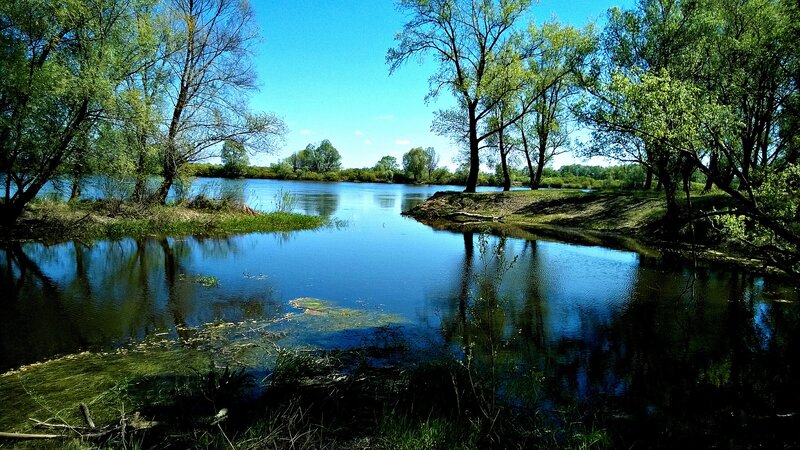 River Bend with Trees — Blue, Serene, Afternoon