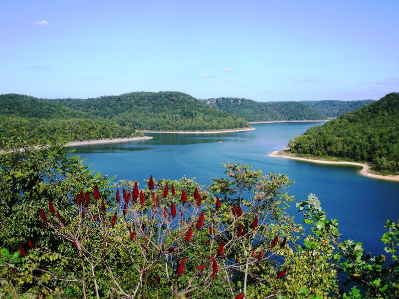 River Bend with Trees — Blue, Serene