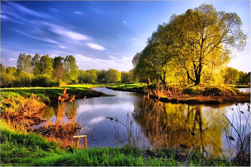 River Bend with Trees — Blue