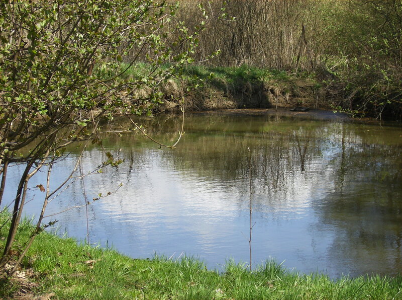 River Bend with Trees — Green, Serene