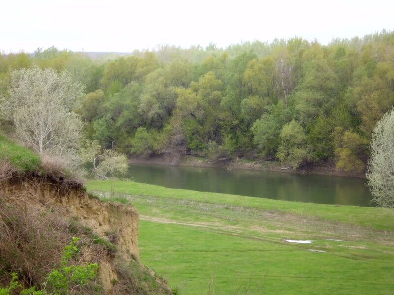 River Bend with Trees — Green