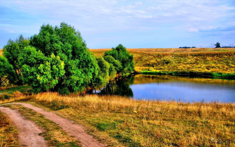 River Bend with Trees