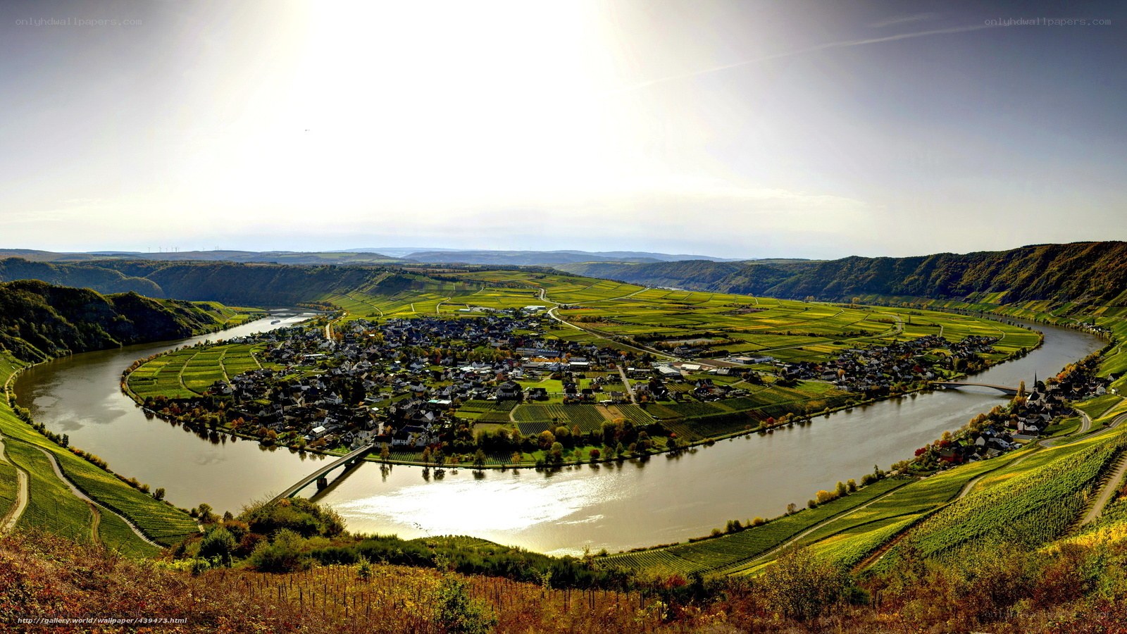 river bend with vineyards
