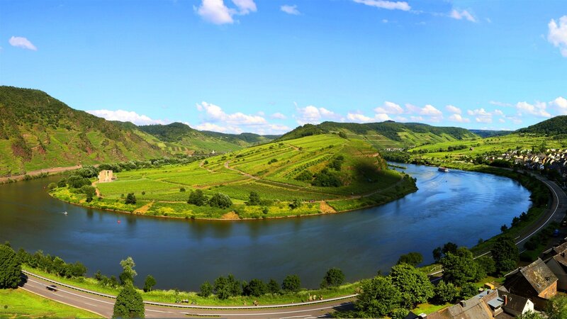 river bend with vineyards