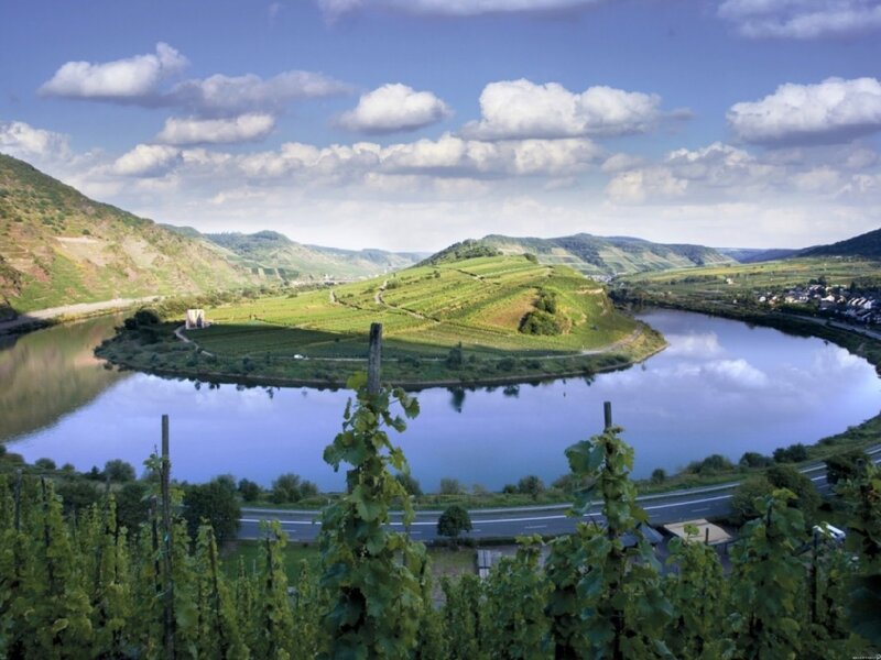 River bend with vineyards