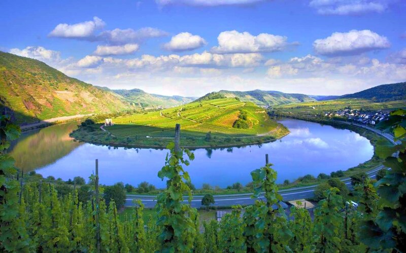 River bend with vineyards