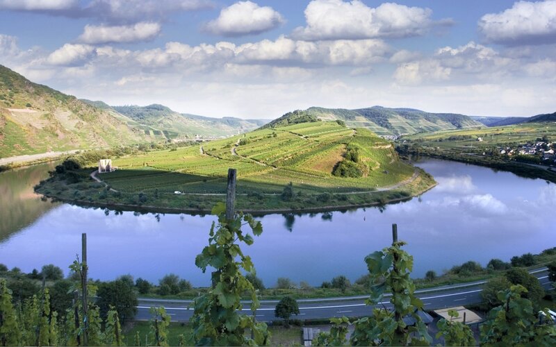 River bend with vineyards