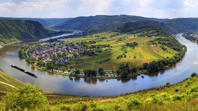 river bend with vineyards and town