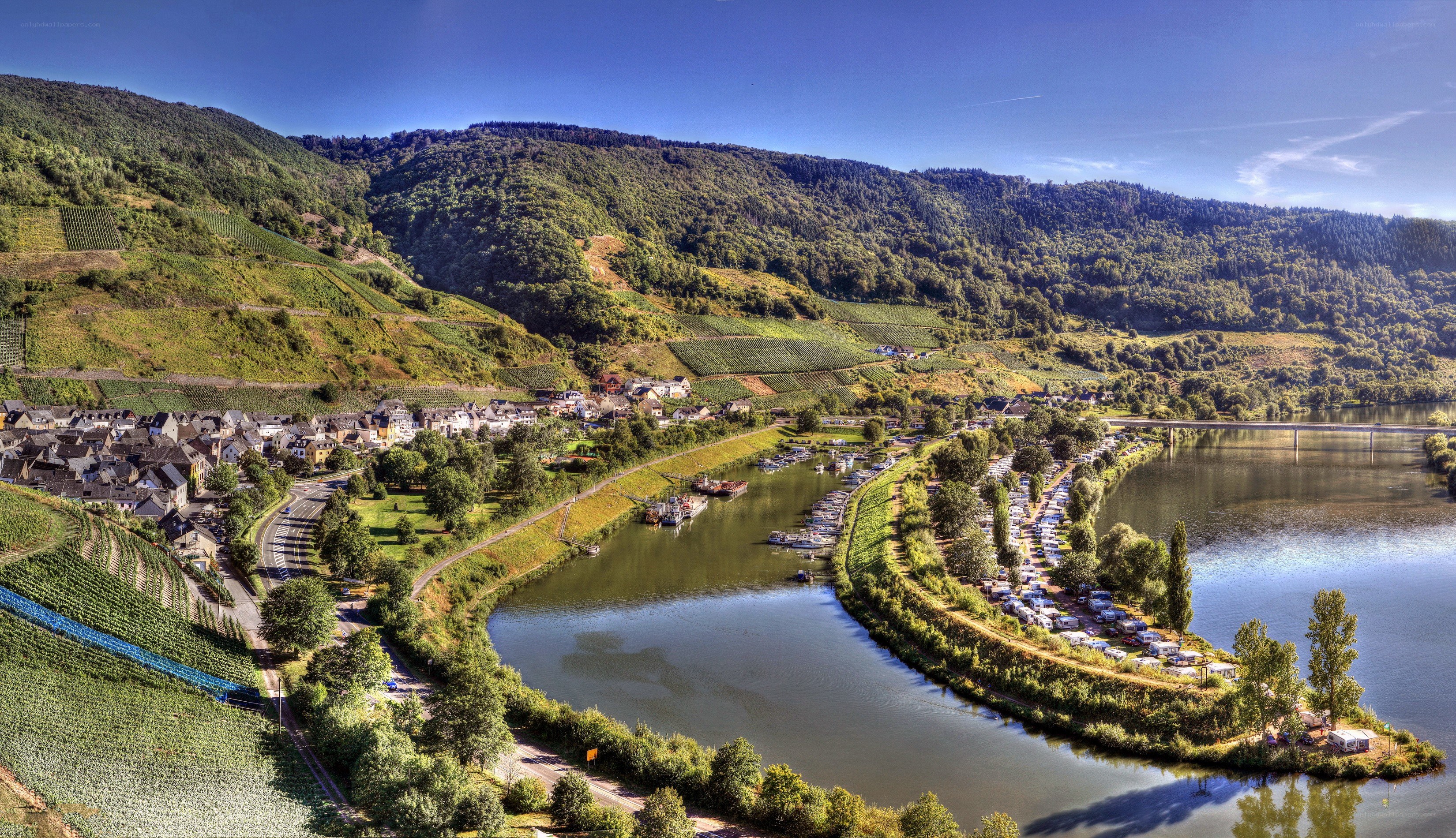 River bend with vineyards and town