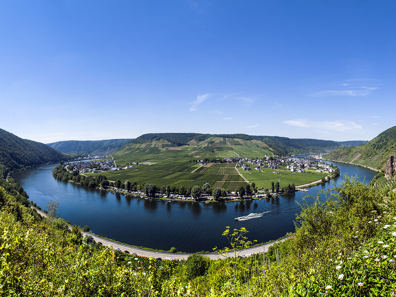 River Bend with Vineyards — Blue, Serene, Afternoon