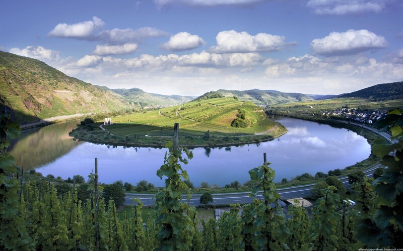 River Bend with Vineyards — Green, Serene, Afternoon, Photograph, Hills, Road