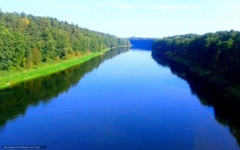 River Between Forests — Blue