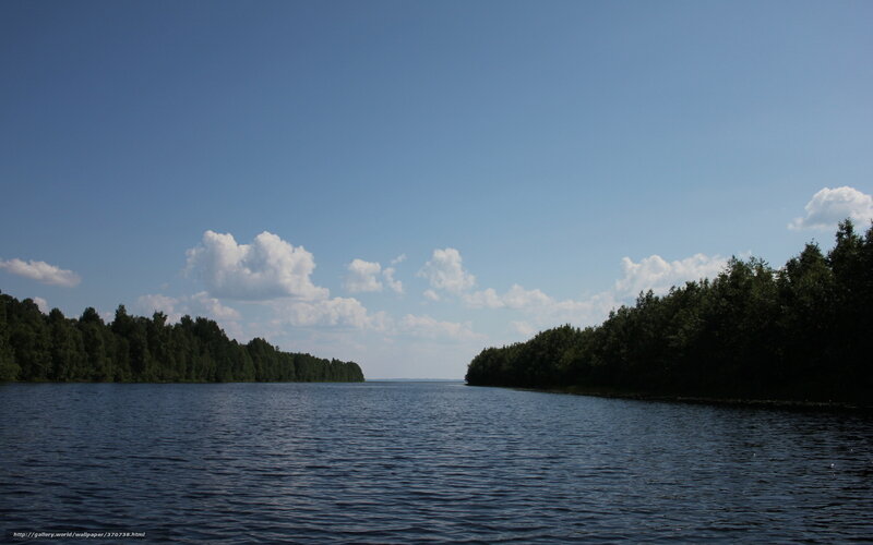 River Between Forests