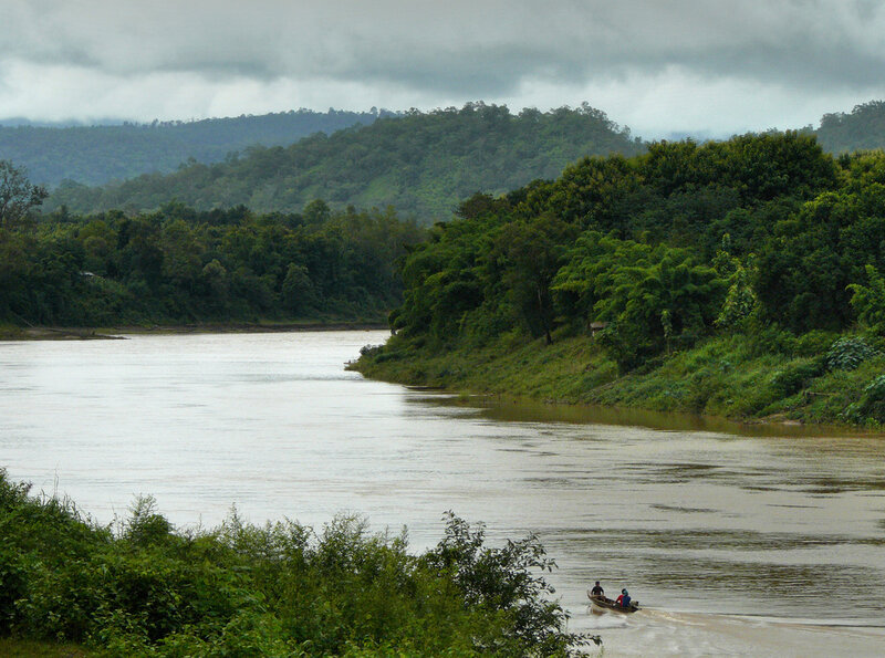 River boat in lush forest
