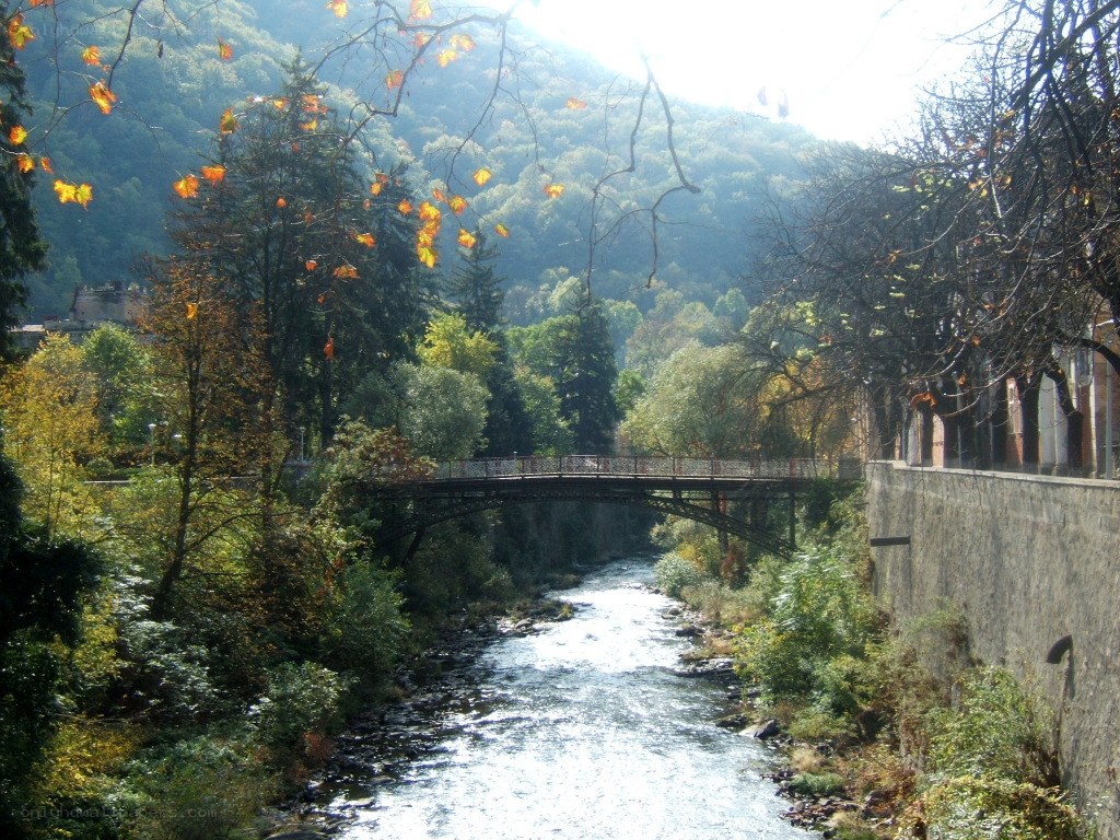 River bridge in autumn forest