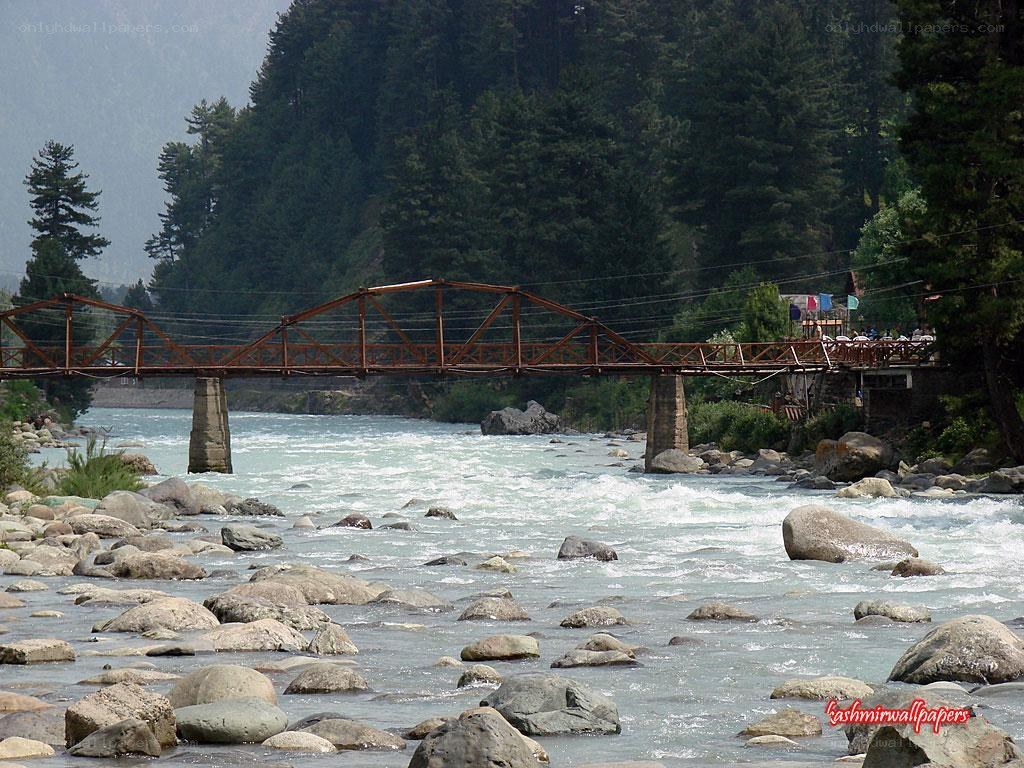 River bridge in forested valley