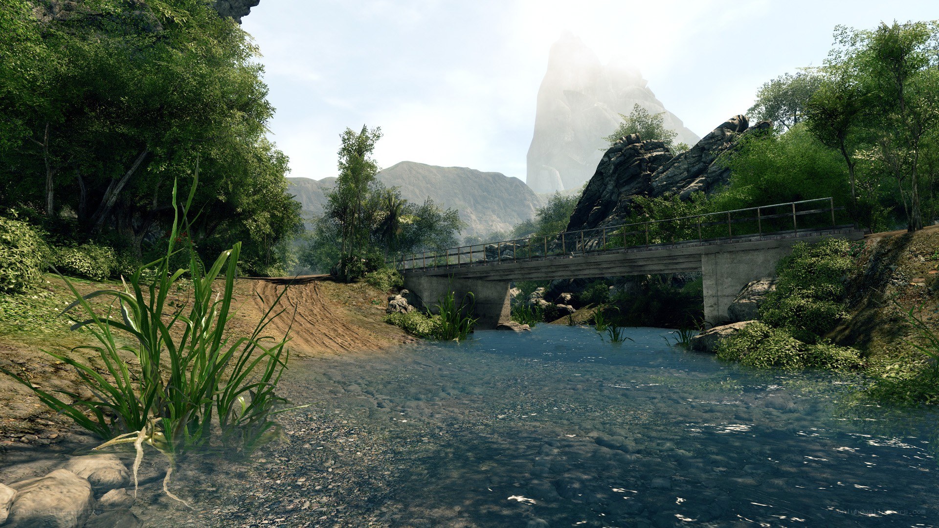 river bridge in lush valley