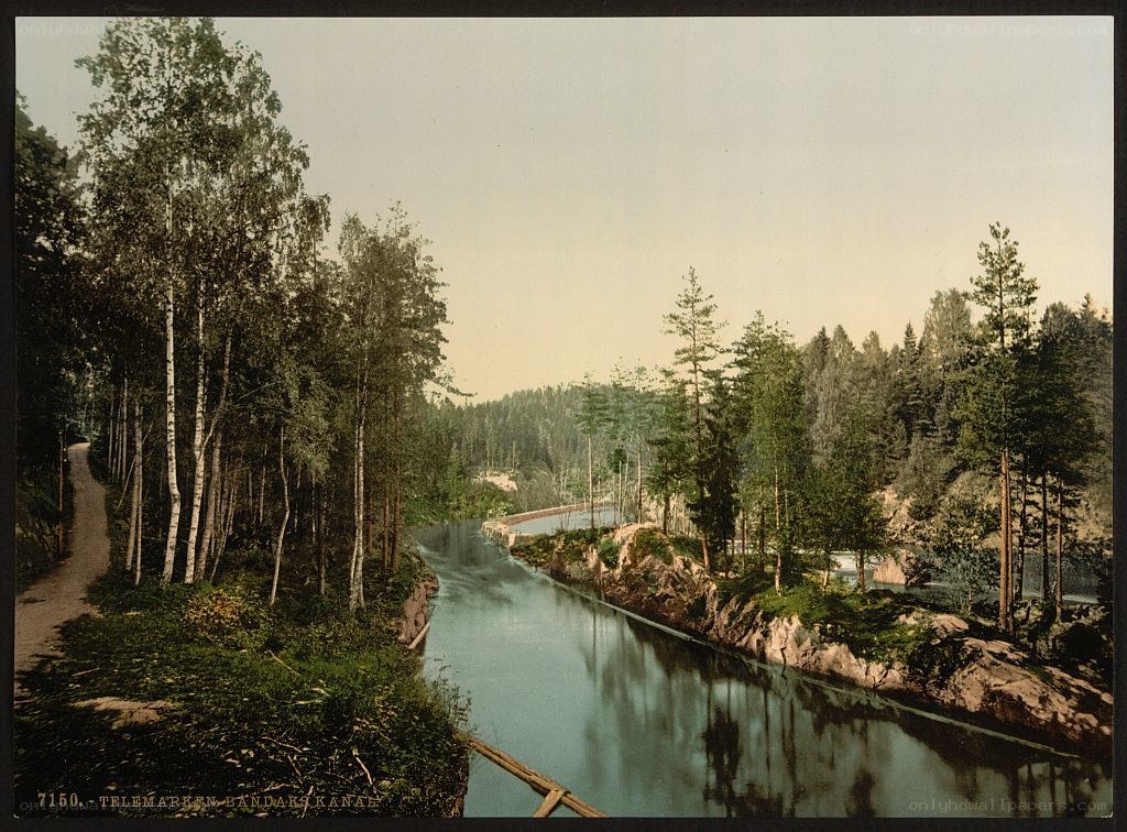 River canal in forest landscape