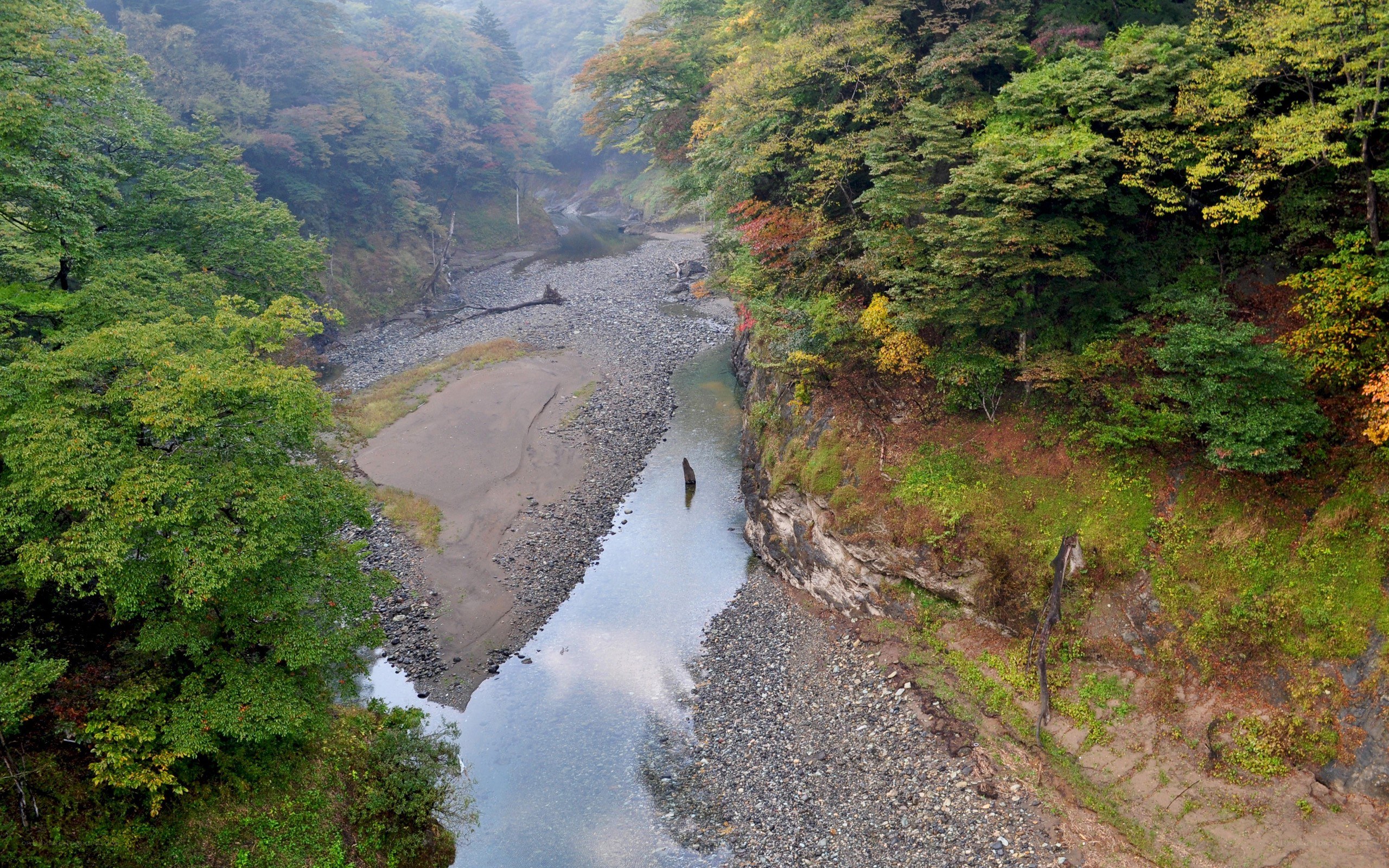river canyon in autumn forest