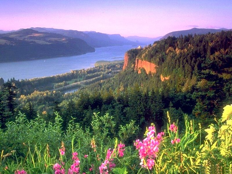 River Canyon Landscape — Green, Serene, Sunset