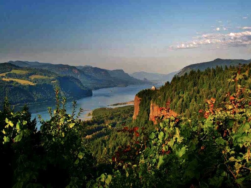 River Canyon Landscape — Green, Serene