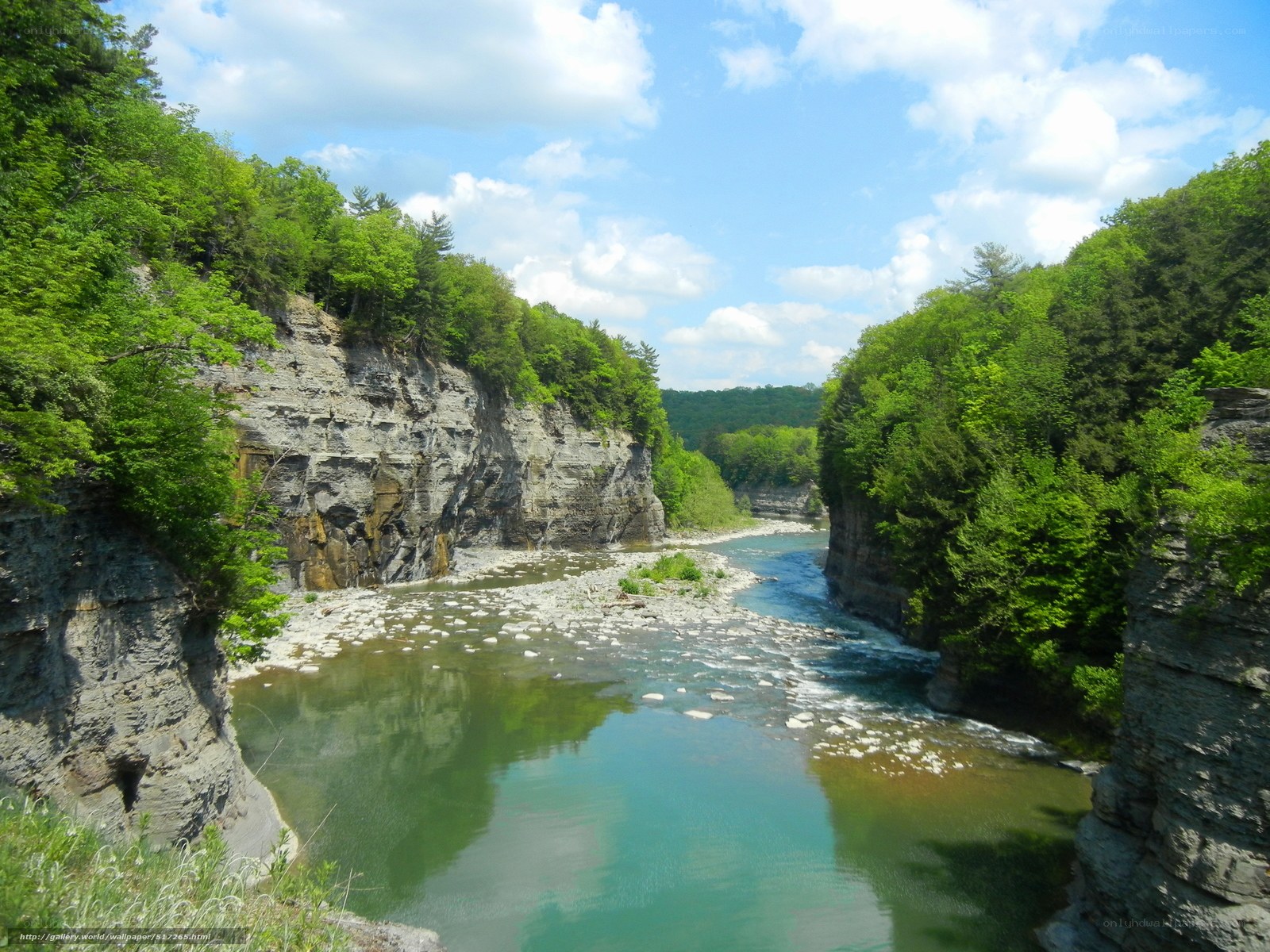 river canyon with green trees